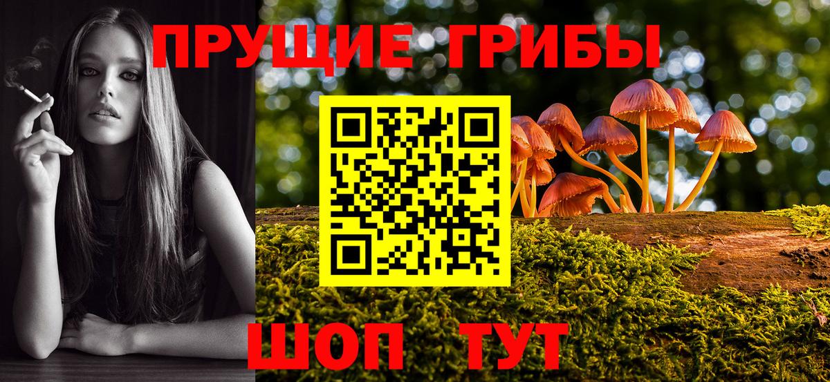 Галлюциногенные грибы Magic Shrooms  Галлюциногенные грибы GOLDEN TEACHER  Вход с VPN  Куйбышев 