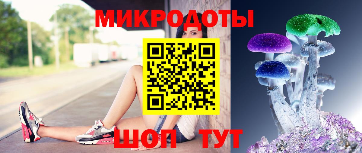Галлюциногенные грибы Cubensis Куйбышев